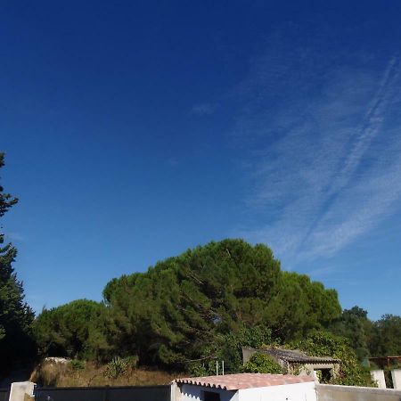 Joli Mazet Entre Montpellier Et Nimes Apartment Aimargues Exterior foto