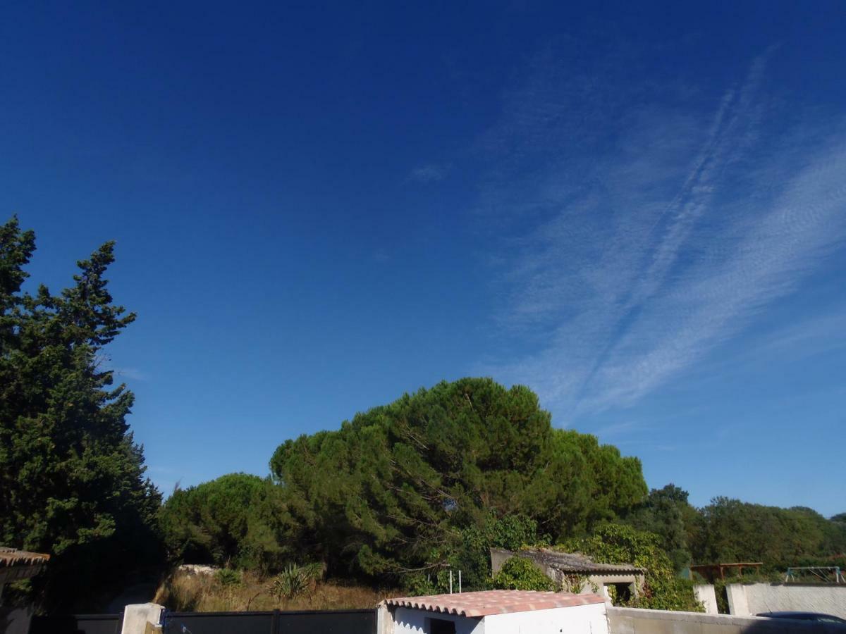 Joli Mazet Entre Montpellier Et Nimes Apartment Aimargues Exterior foto